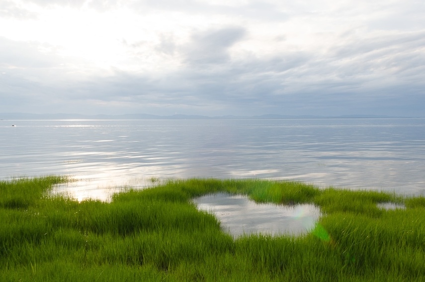 Richard Boutet - Psychologue